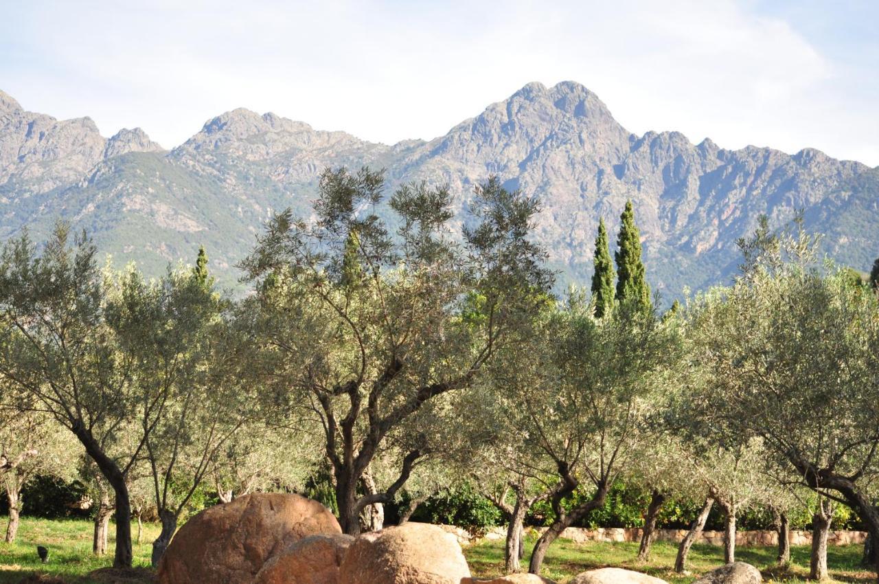 Domaine Codaleone Villa Serriera (Corsica)