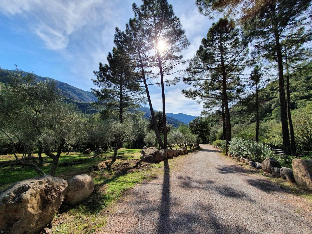 Domaine Codaleone Serriera (Corsica)