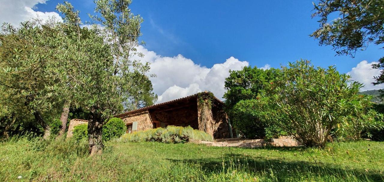 Villa Domaine Codaleone