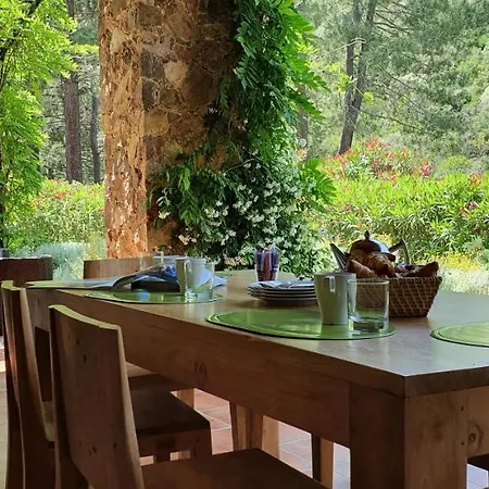 Domaine Codaleone Serriera  Buitenkant foto