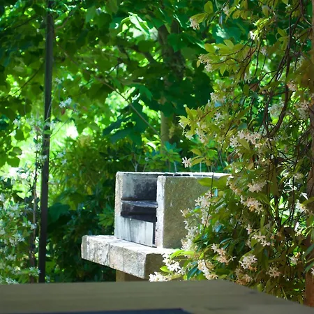 Domaine Codaleone Serriera  Kamer foto