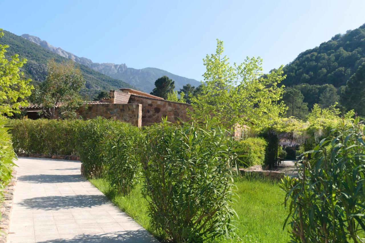 Domaine Codaleone *