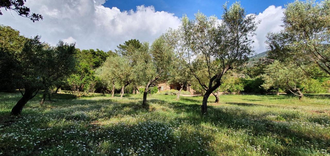 Villa Domaine Codaleone Serriera (Corsica)