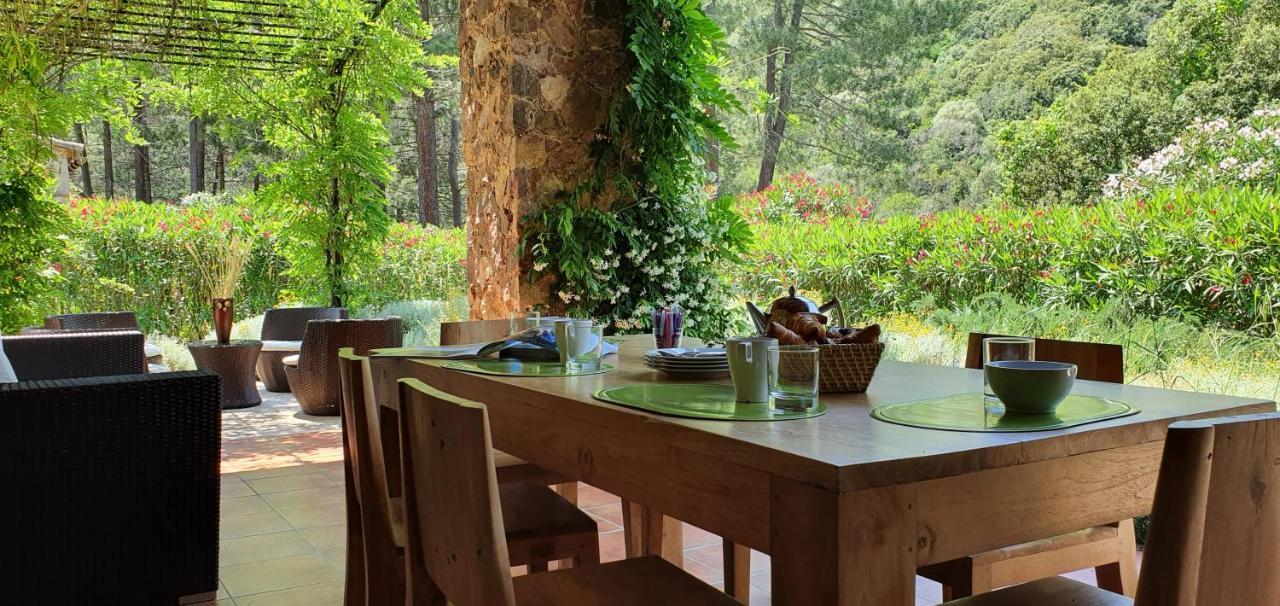 Domaine Codaleone * Serriera (Corsica)