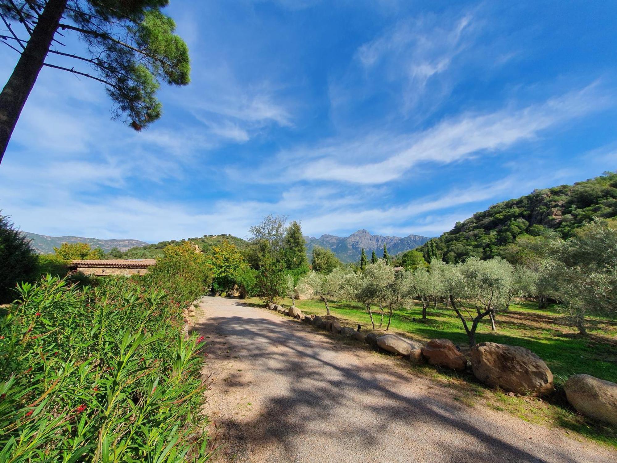 Villa Domaine Codaleone Serriera (Corsica)